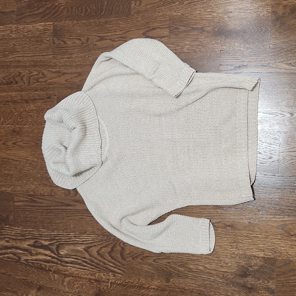 Sparkly sweater